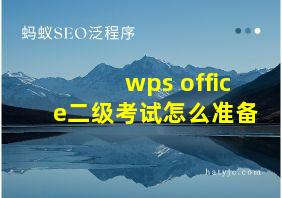 wps office二级考试怎么准备