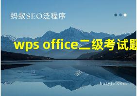 wps office二级考试题