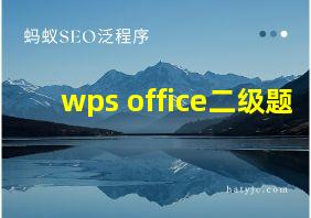 wps office二级题