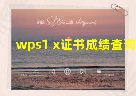 wps1+x证书成绩查询