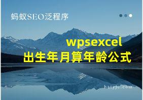 wpsexcel出生年月算年龄公式