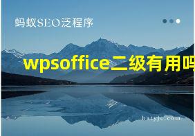 wpsoffice二级有用吗