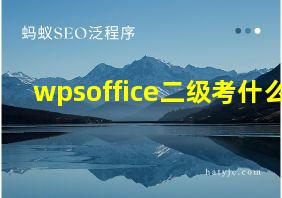 wpsoffice二级考什么