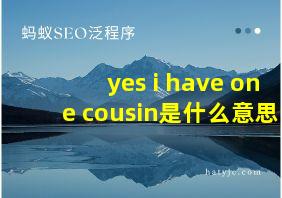 yes i have one cousin是什么意思