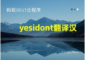 yesidont翻译汉