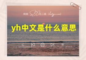 yh中文是什么意思