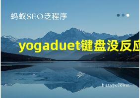 yogaduet键盘没反应