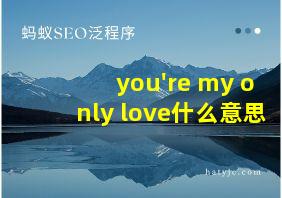 you're my only love什么意思