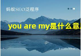 you are my是什么意思