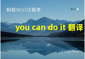 you can do it 翻译