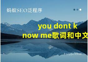 you dont know me歌词和中文