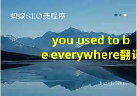 you used to be everywhere翻译