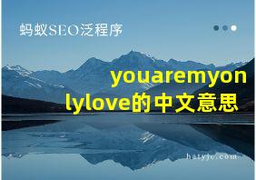 youaremyonlylove的中文意思