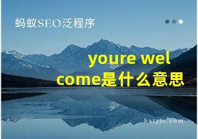 youre welcome是什么意思