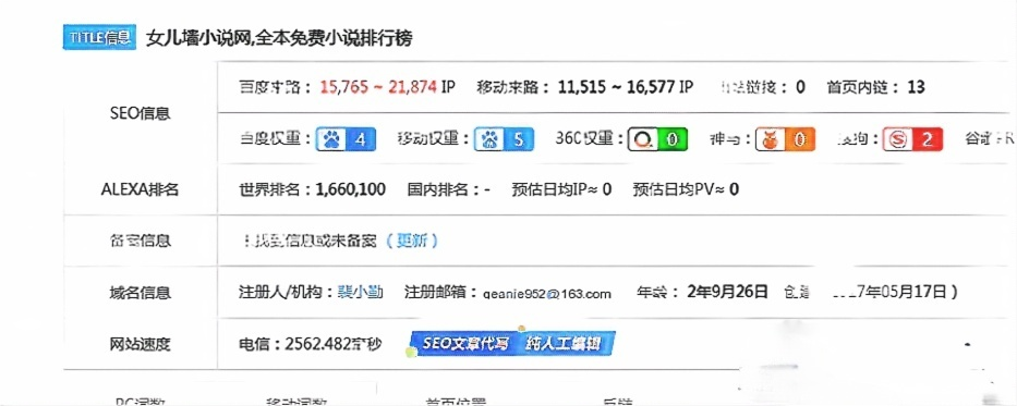 小说系统快速排名程序 （养站必备）10个域名3个权重5 